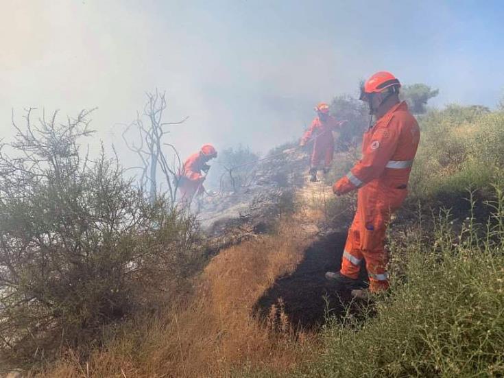 Minister expresses hope arsonists will be brought before justice in Cyprus