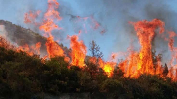 Authorities in Cyprus issue warnings for high temperatures and forest fires