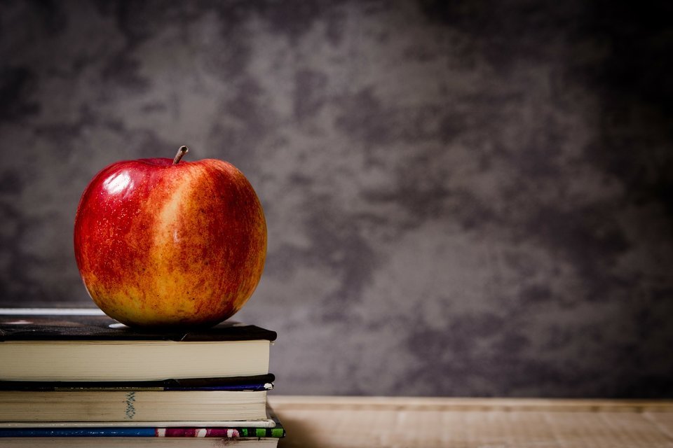 Haringey Council: Free School Meals: October Half Term
