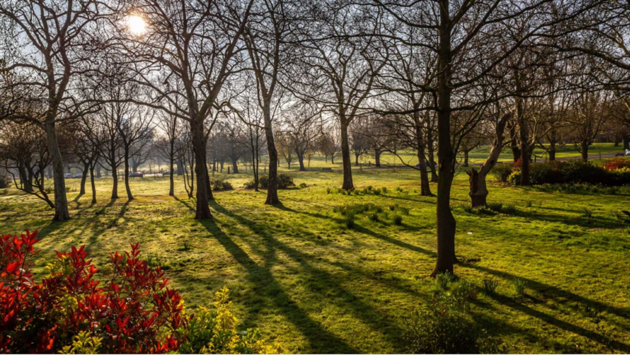 Where should you consider buying property in London in 2021?