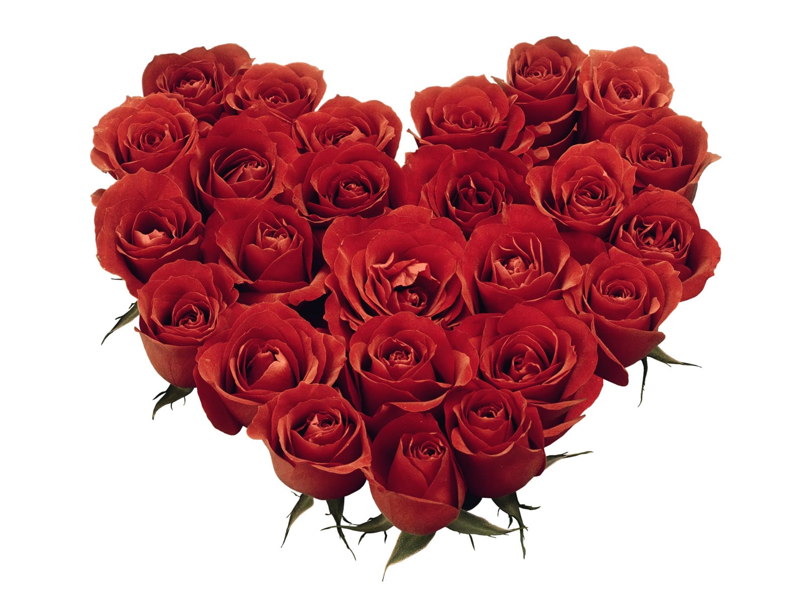 Happy Valentines day