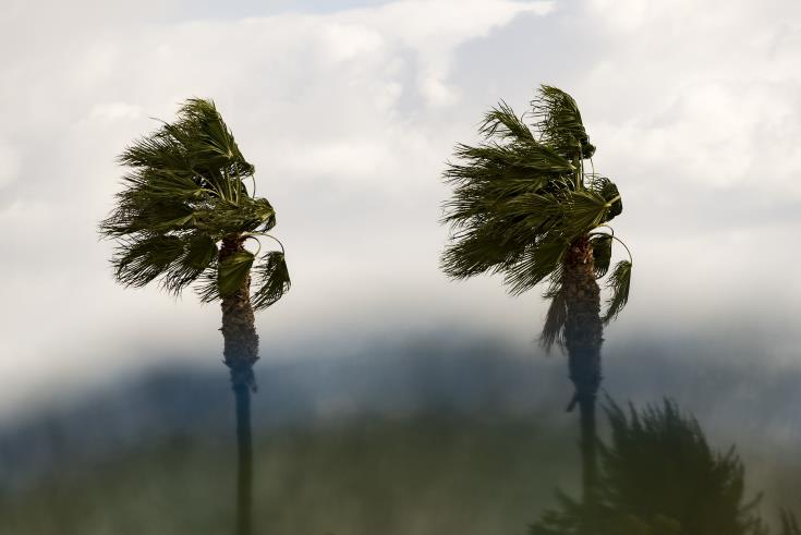 Yellow warning for high wind in Cyprus coastal areas
