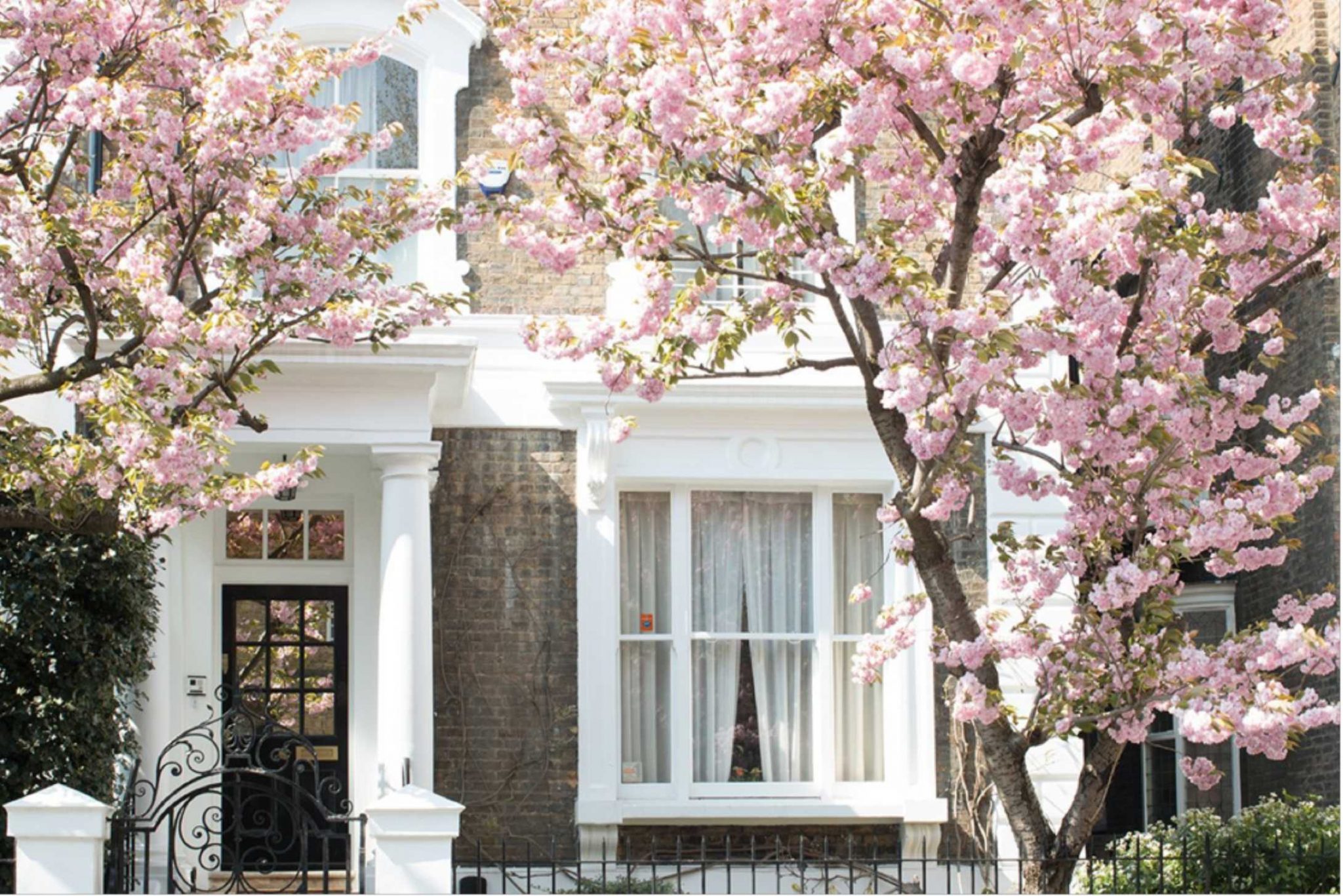 The property market continues to grow with the end of lockdown in sight