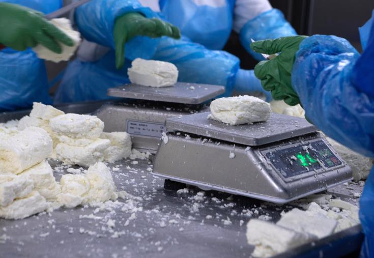 Minister optimistic that process for implementation of decision for halloumi will run smoothly