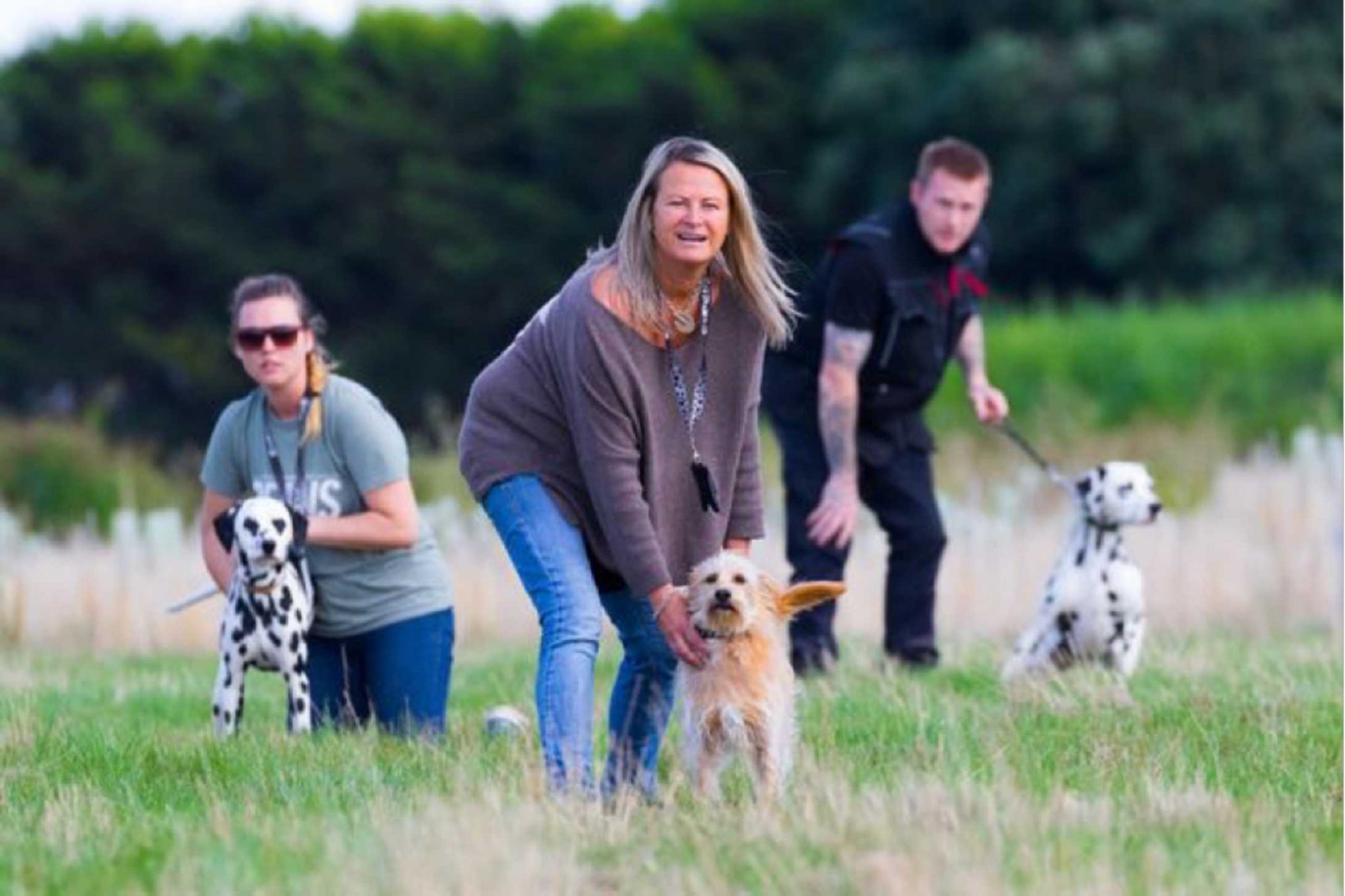 A stray dog rescued from the streets of Cyprus, features in Disney’s blockbuster Cruella