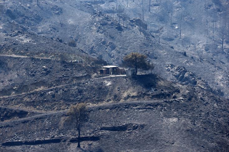 Devastating blaze under control in Cyprus