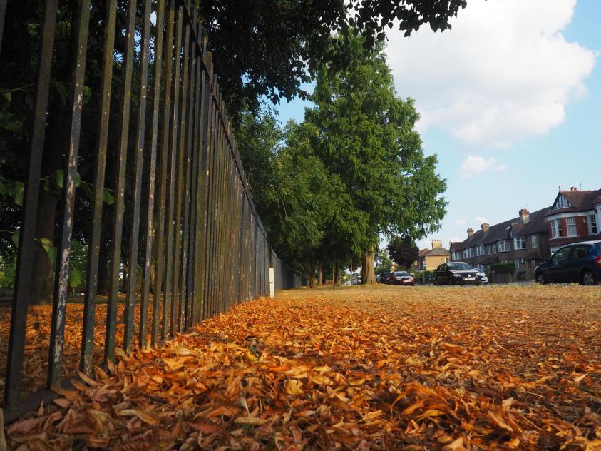 Barnet Council gets ready for the leaf fall this autumn