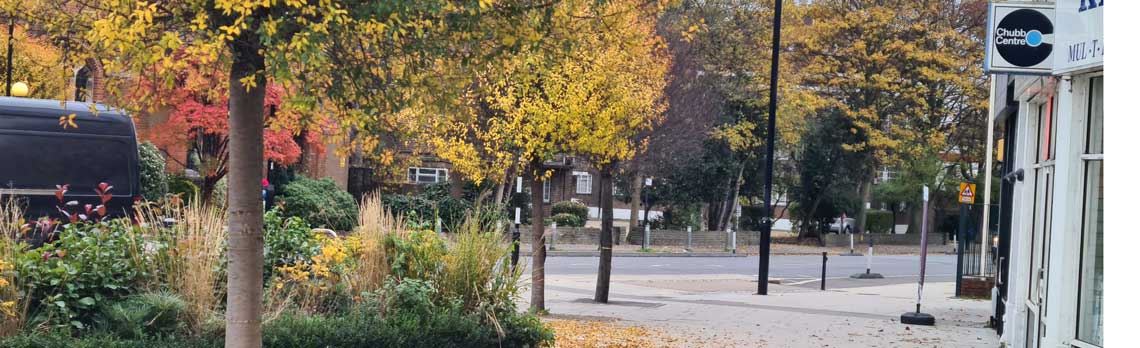 Greening Enfield