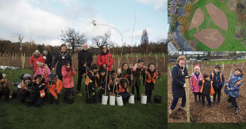 500 new trees planted in Barnet