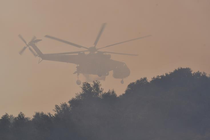 The Cyprus Institute, Athens University and National Observatory of Athens sign MoU for tackling forest fires
