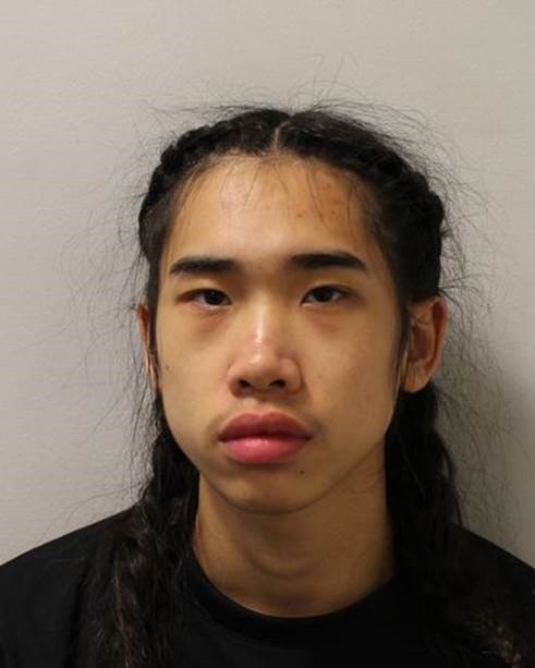 Walthamstow murder: Two teenagers convicted of manslaughter