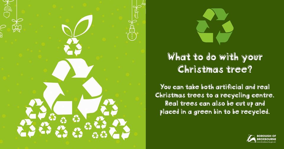 Broxbourne Council What to do with your Christmas tree?