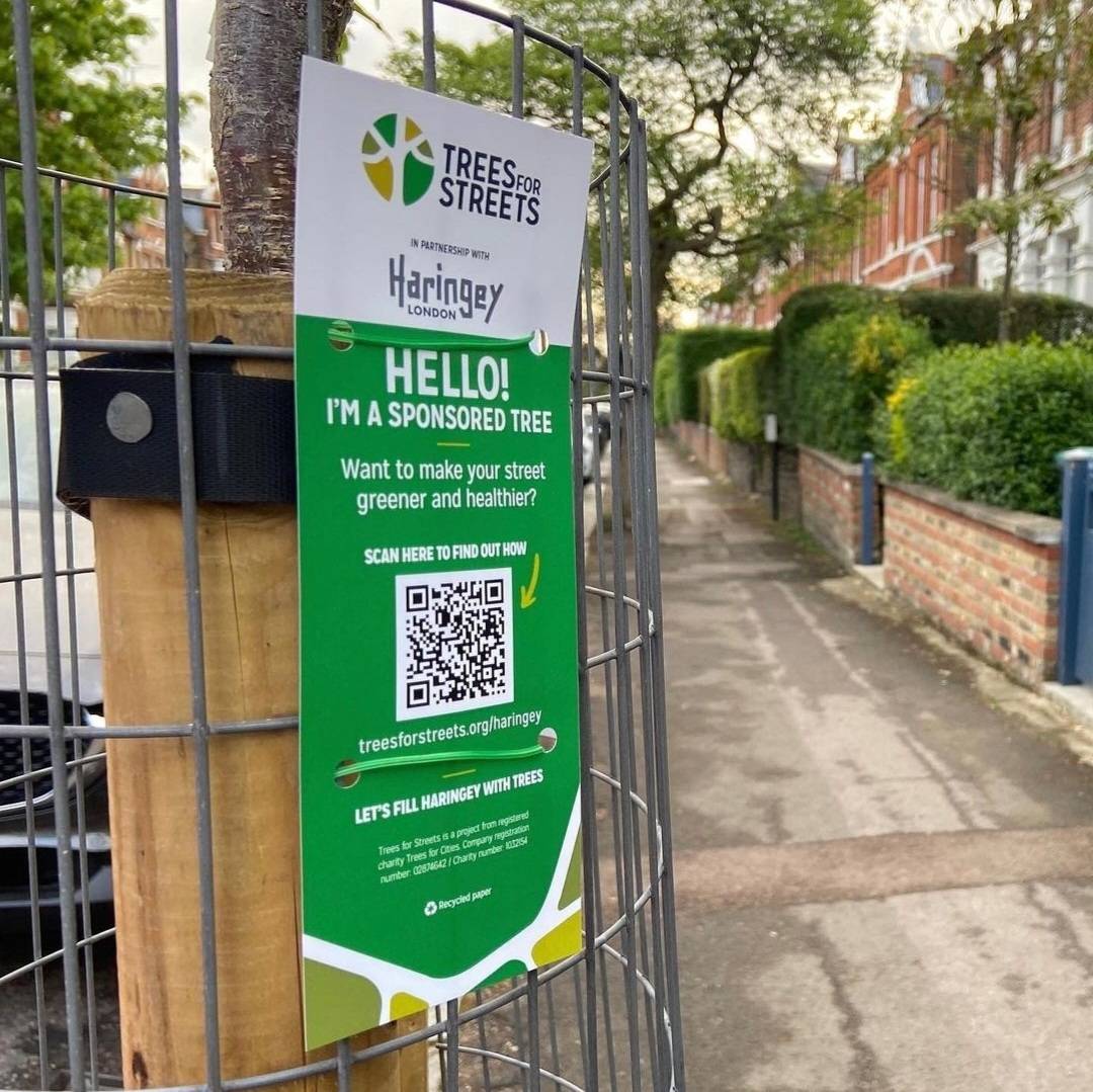 Haringey trees for streets