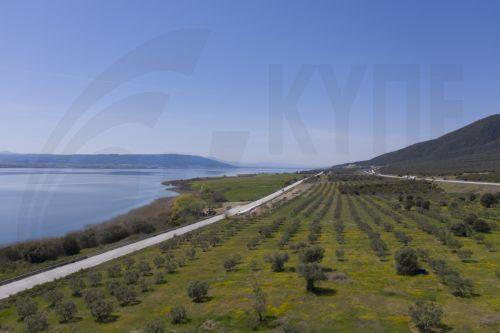 Cyprus susceptible to desertification, drought, water shortage and repercussions from climate change