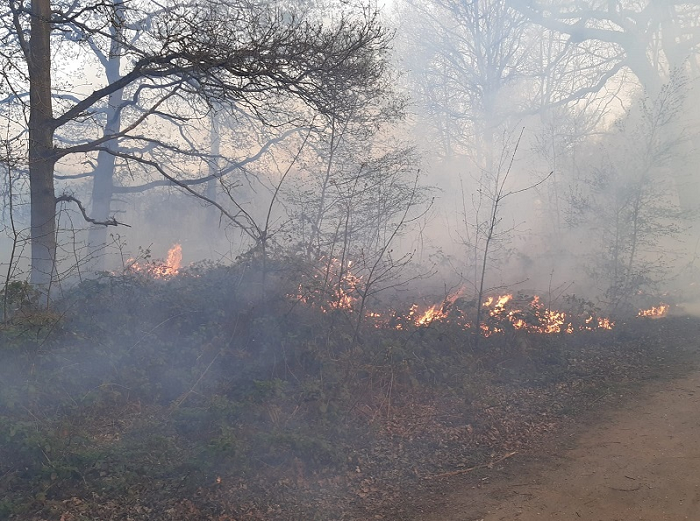 Grass fire – Leytonstone