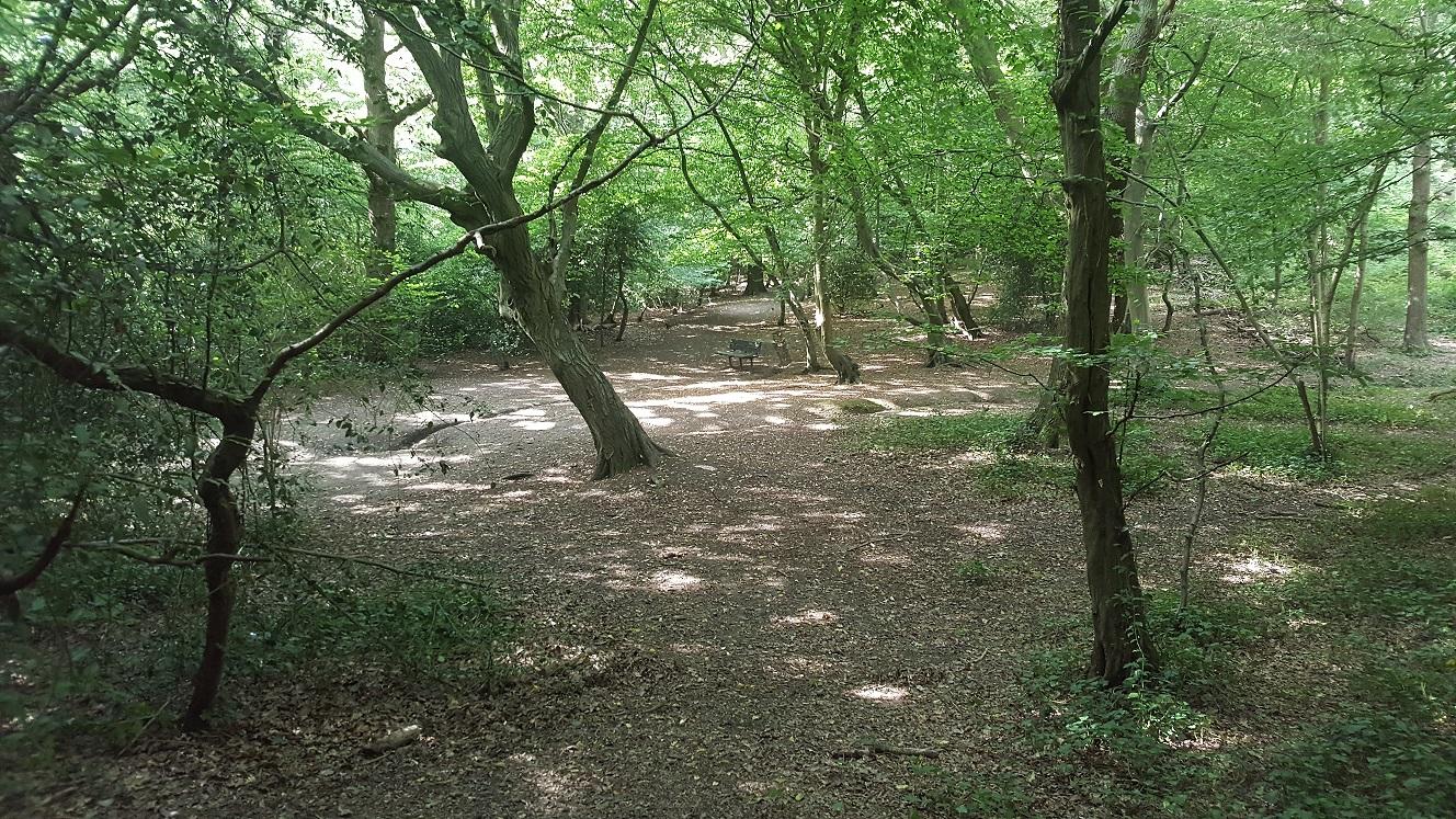 Haringey’s open spaces retain Green Flags as six vie for the UK’s Favourite Park crown