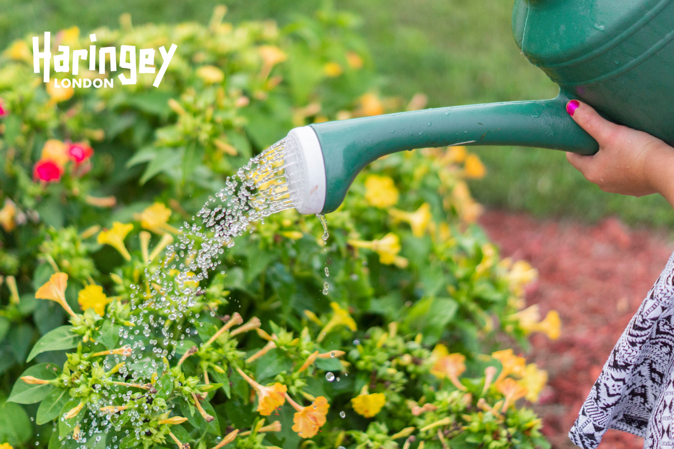 Haringey: Reduce your water usage and save money!