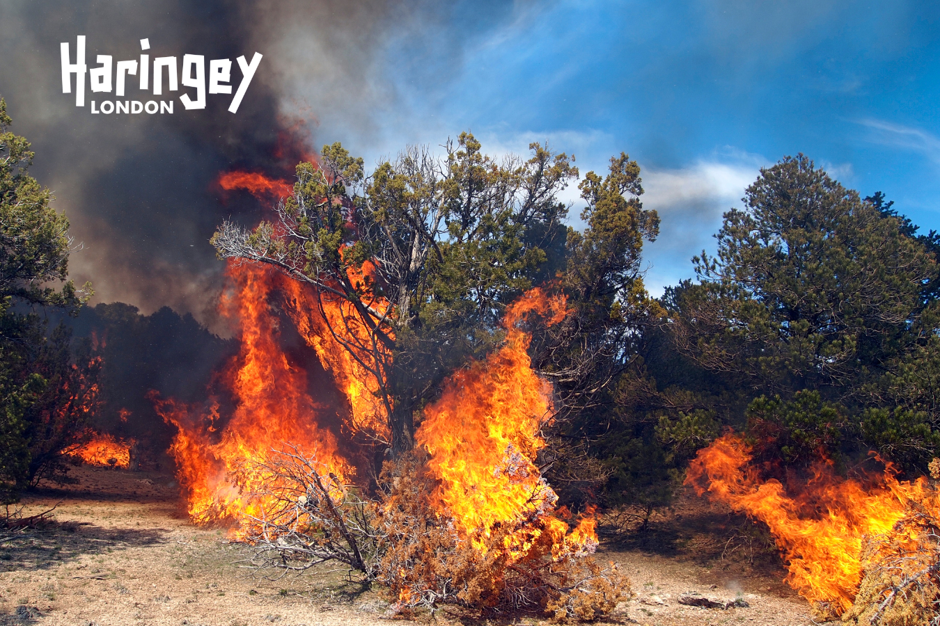 Haringey : Be alert to fire risks during warm weather
