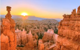 Boy survives 100ft Grand Canyon after he had fallen while moving out of the way so people could take pictures