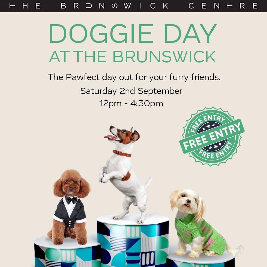 Are you coming to DOGGIE DAY AT THE BRUNSWICK this Saturday?