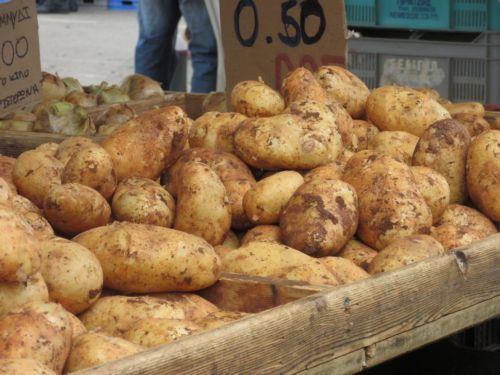 EU registration of “Cypriot red soil potato” underway,