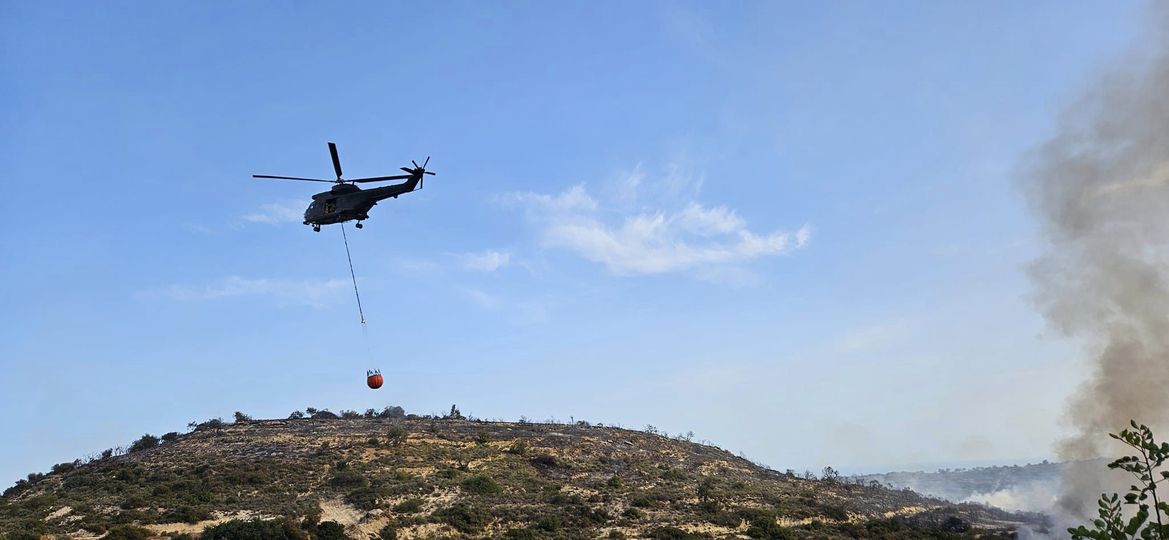Cyprus Government planning to respond to fires is non-existent