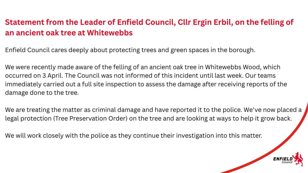 Statement from the Leader of Enfield Council, Cllr Ergin Erbil, on the felling of an ancient oak tree at Whitewebbs