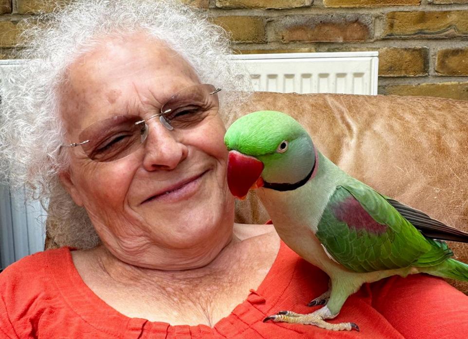 Missing parakeet owned by UK Cypriot found over 100 miles away in Bournemouth