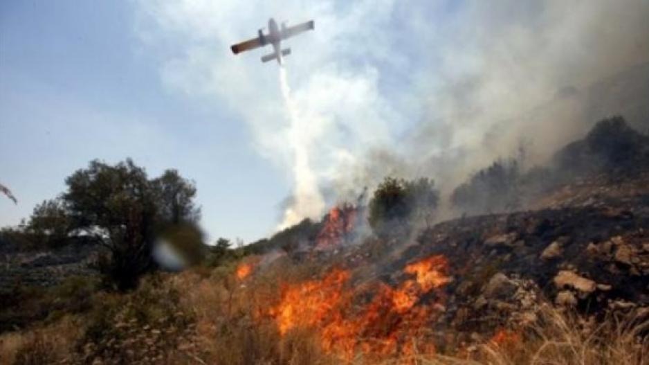 Three wildfires break out within hours as aircraft battle Paphos blaze
