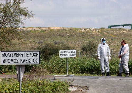 FMD spreading concerns to persist if protocols are not followed in Cyprus, Spokesperson says