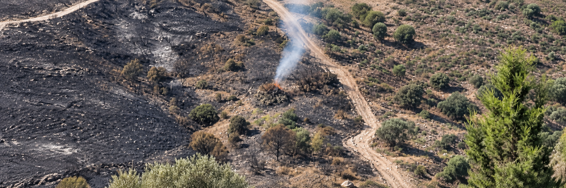 Agia Anna community counts the cost of devastating wildfire