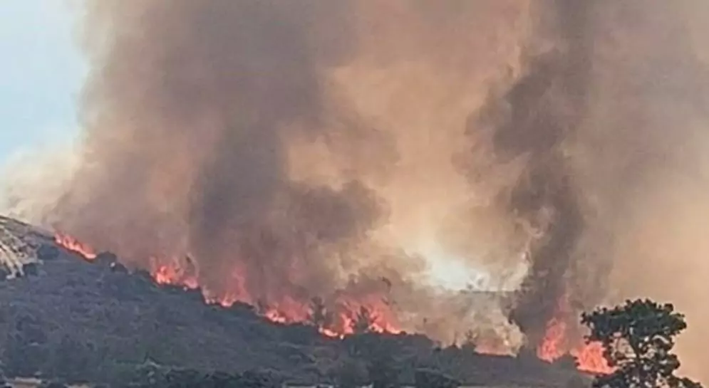 The state again failed to protect the country and its citizens from wildfires