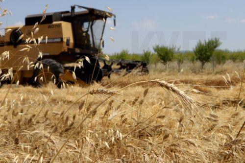 Cyprus Agriculture Minister outlines major investments to tackle water shortages, support rural communities