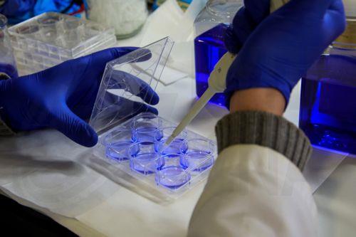 Eurostat: More than 50% of workers in science and technology in Cyprus are women