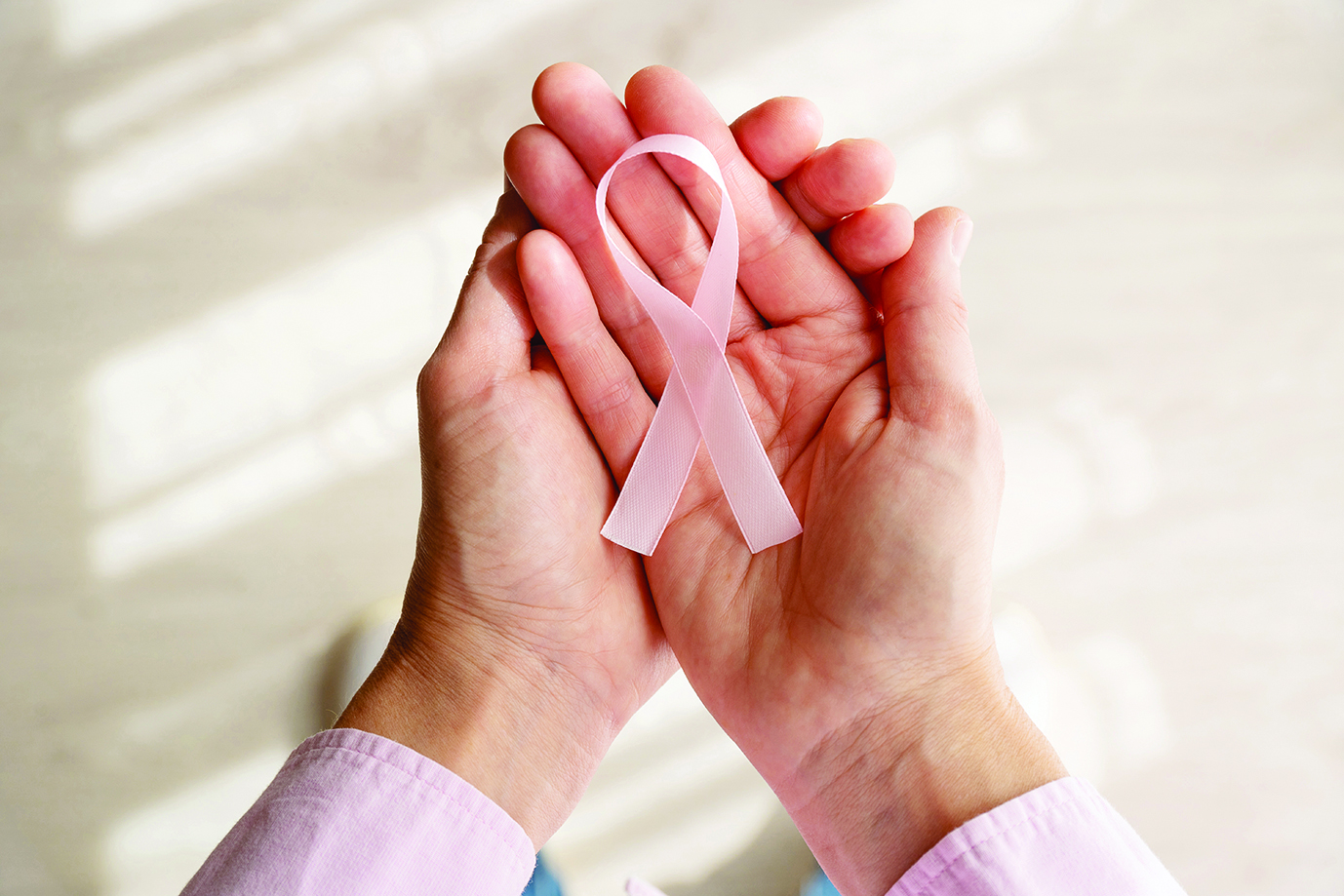 Pink ribbon against cancer between the hands of a woman