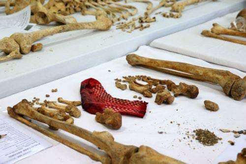 DNA remains